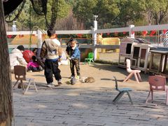 -菊园百果园