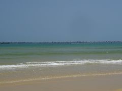 -阿弟特色海鲜餐厅·大排档(平潭店)