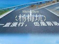-杨梅坑