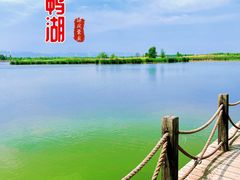 -野鸭湖国家湿地公园