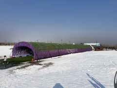 -绿野森林乐园冰雪季
