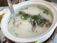 -紫藤园·天目湖大鱼头(南山竹海店)