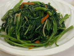 油渣有机菜心-围龙屋客家食府(福田店)