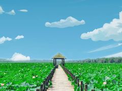 -西青郊野公园