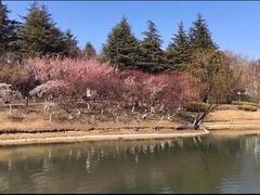 -白塘生态植物园
