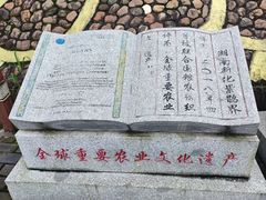 -紫鹊界梯田景区