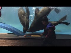 -成都浩海立方海洋公园