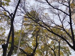 -四门塔风景区