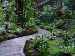 -深圳仙湖植物园