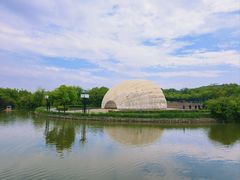 -上海吴淞炮台湾国家湿地公园
