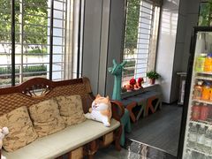 -pd派德宠物中心医院24H急重症·眼科中心·血液透析中心(嵩山北路店)