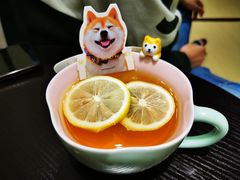 -逗柴咖啡屋·狗咖猫咖宠物桌游
