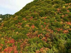 -少华山国家森林公园