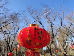 -莲花池公园
