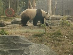 -武汉动物园