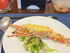 -Social 秀西餐厅-长沙瑞吉酒店(运达店)