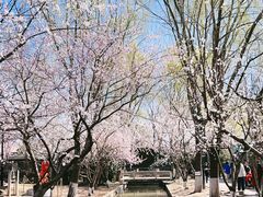 -春风习习