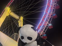 -天津之眼摩天轮
