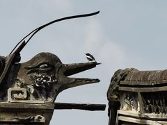 -苏州大学(天赐庄校区)