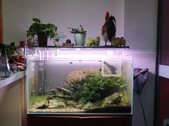 -福源药膳鸡(天润城店)