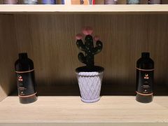 -梵猫·新养生(福州万象城店)