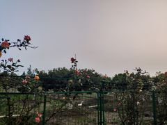 -呼吸森林·生态农庄农家乐私房菜