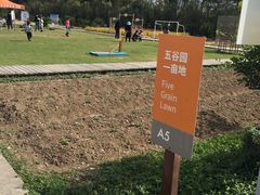 -前小桔亲子创意农场·草莓采摘·露营烧烤