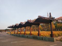 -卧龙湖