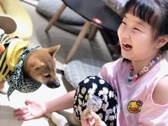 -逗柴咖啡屋·狗咖猫咖宠物桌游