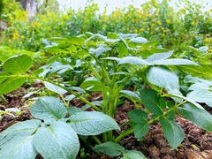 -星巴克(绍兴柯桥柯岩景区店)