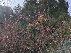 -赭山公园