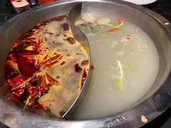 -杨家火锅(国美店)