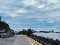-上海滨江森林公园