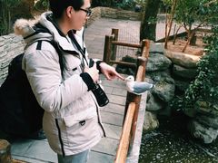 生态馆不怕人的水鸟-北京动物园
