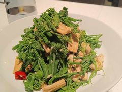 橄榄油鲜腐竹拌丝瓜尖-北平楼·烤鸭·北京菜(牡丹园店)