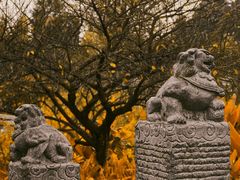 -成都杜甫草堂博物馆