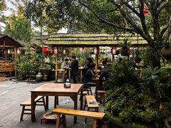 -青城甲(青城山店)