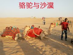 -迪拜沙漠冲沙