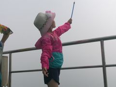 -长岛万鸟岛