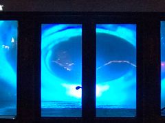 -梧桐花园餐厅(新城店)