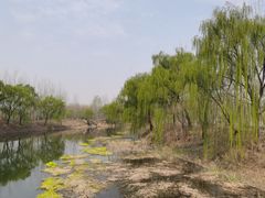 -东郊湿地公园