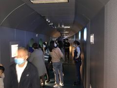 -白鹤梁水下博物馆