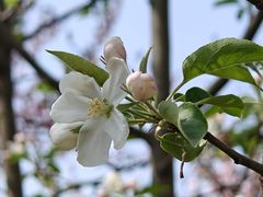 -陕西省西安植物园