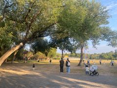 -太阳宫公园