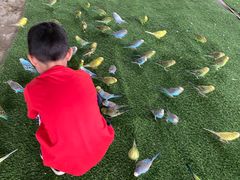 -秀丽东方