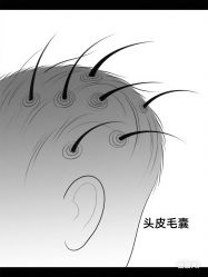 -Bollins波林丝•专研护发中心