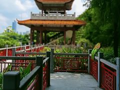 -东山湖公园