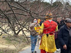 -香雪海