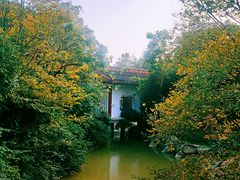 -金山公园