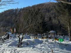 -横道河子东北虎林园